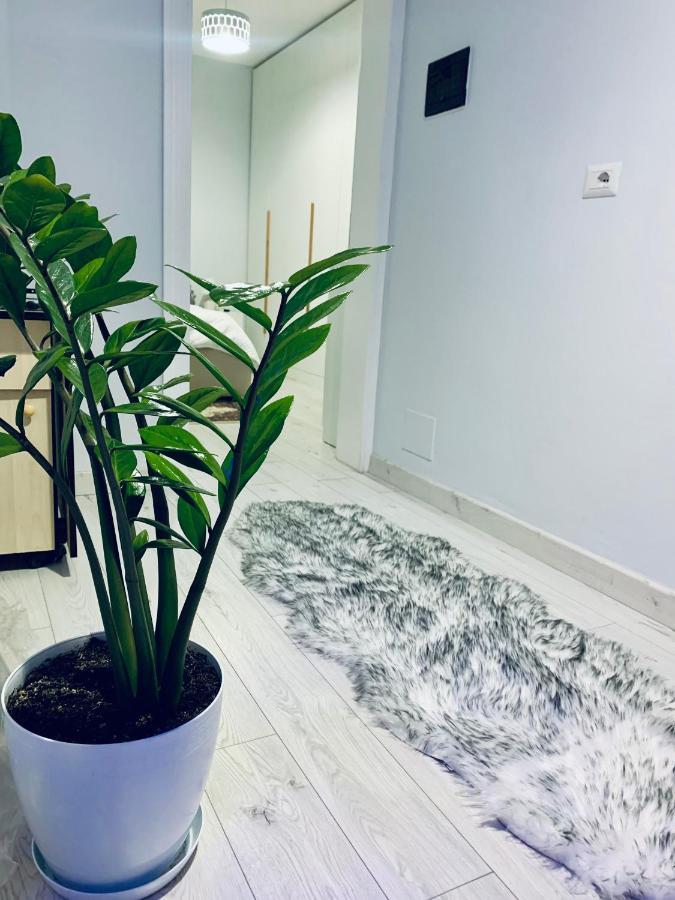 Apartament Cozy Corner Tirana Zewnętrze zdjęcie